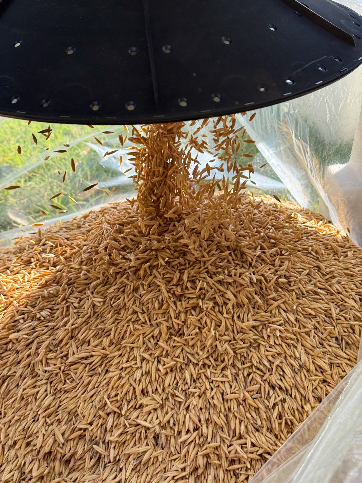 Carga de semilla para siembra con dron