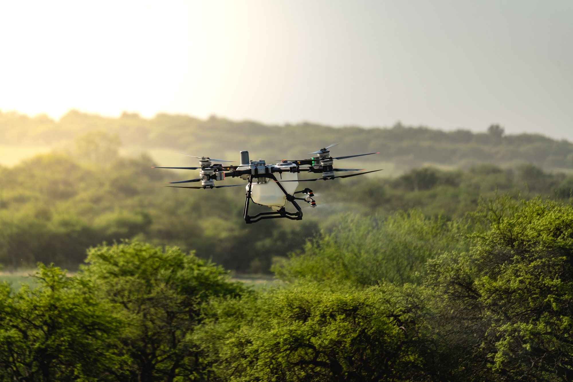 Dron DJI Agras pulverizando a campo al atardecer